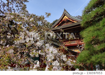 佐賀県鹿島市「祐徳稲荷神社と桜」 138397053