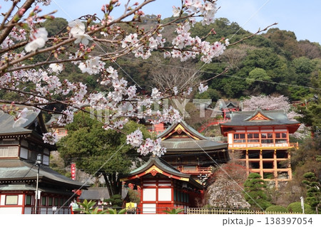 佐賀県鹿島市「祐徳稲荷神社と桜」 138397054