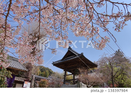 佐賀県神埼市「光蔵寺と桜」 佐賀県神埼市「光蔵寺と桜」 138397984