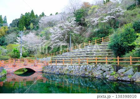 丸池湧水（日本名水百選）の水辺に広がる春の景色 潤いある季節のロケーション 138398010