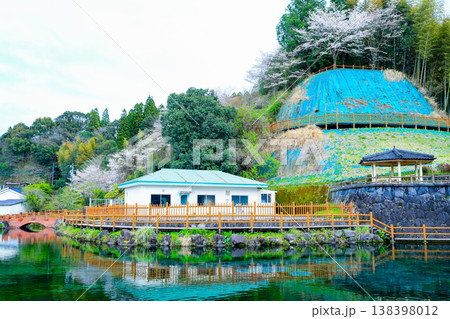丸池湧水（日本名水百選）の水辺に広がる春の景色 潤いある季節のロケーション 138398012