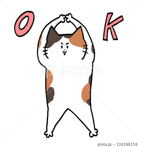 OKサインを出すかわいい三毛猫の手描きイラスト 138398158