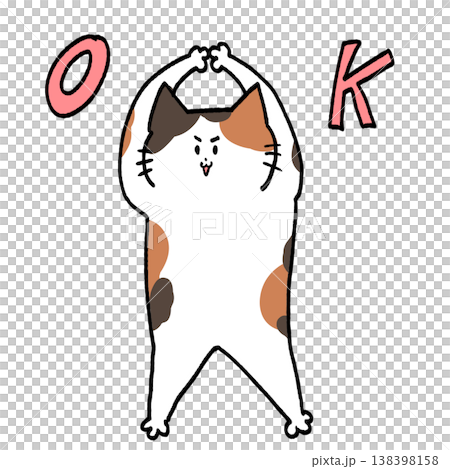 OKサインを出すかわいい三毛猫の手描きイラスト 138398158