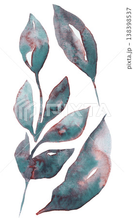 Hand painted watercolor twigs with smoky teal leaves isolated illustration. Botanical element 138398537