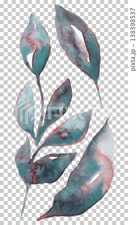 Hand painted watercolor twigs with smoky teal leaves isolated illustration. Botanical element 138398537