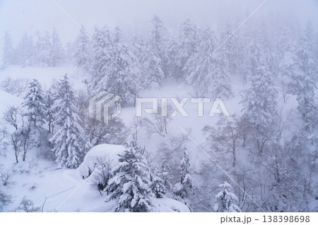 雪と霧に包まれた北海道の冬の山 幻想的な白銀の風景 雪と霧に包まれた北海道の冬の山 幻想的な白銀の風景 138398698