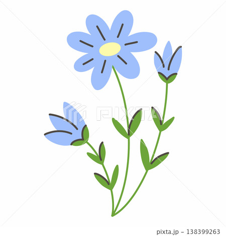 blue cornflower flower. Doodle style illustration on white background. 138399263
