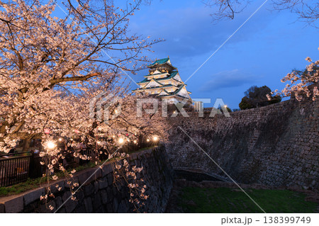 西の丸庭園から見た大阪城と桜のライトアップ 138399749