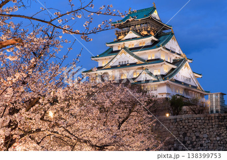 西の丸庭園から見た大阪城と桜のライトアップ 西の丸庭園から見た大阪城と桜のライトアップ 138399753