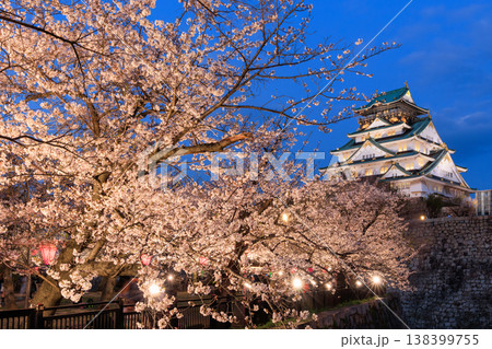 西の丸庭園から見た大阪城と桜のライトアップ 西の丸庭園から見た大阪城と桜のライトアップ 138399755