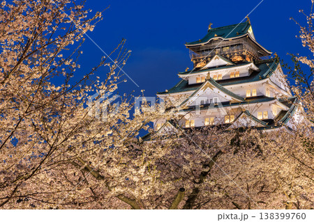 西の丸庭園から見た大阪城と桜のライトアップ 西の丸庭園から見た大阪城と桜のライトアップ 138399760