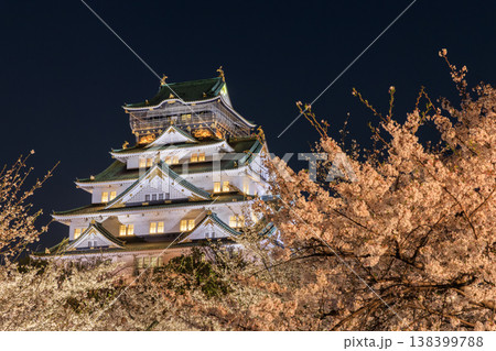 西の丸庭園から見た大阪城と桜のライトアップ 西の丸庭園から見た大阪城と桜のライトアップ 138399788