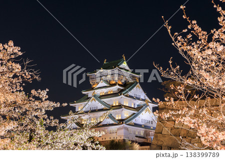 西の丸庭園から見た大阪城と桜のライトアップ 西の丸庭園から見た大阪城と桜のライトアップ 138399789