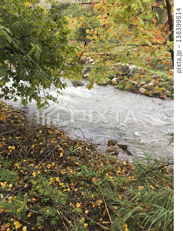 vegetation around the mighty river fed by torrential rains 138399814