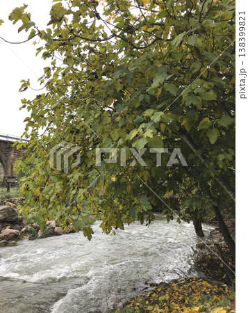 vegetation around the mighty river fed by torrential rains 138399821