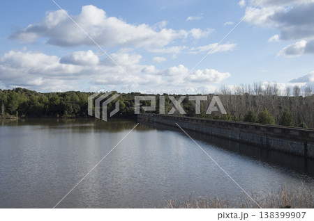 images of the swamp on a sunny summer day images of the swamp on a sunny summer day 138399907