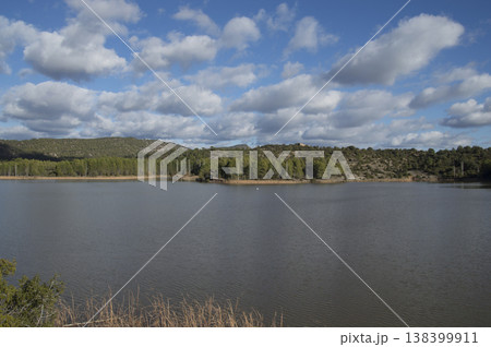 images of the swamp on a sunny summer day images of the swamp on a sunny summer day 138399911