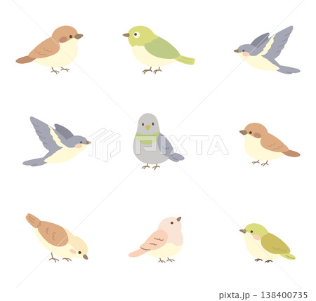 春のかわいい小鳥イラストセット 138400735