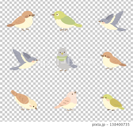 春のかわいい小鳥イラストセット 138400735