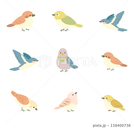 春のかわいい小鳥イラストセット  138400736