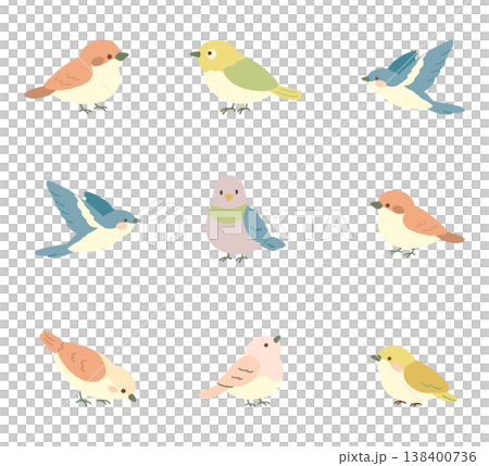 春のかわいい小鳥イラストセット  138400736