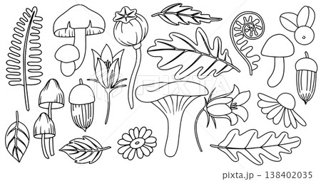 set of autumn outline elements. mushrooms, flowers and leaves. coloring book 138402035