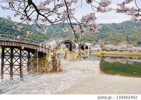 桜咲く春の錦帯橋5 138402402