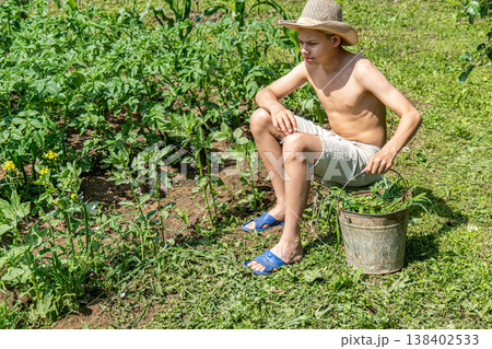 Teen pulls weeds from potato plants while wearing hat and shorts in garden during summer Teen pulls weeds from potato plants while wearing hat and shorts in garden during summer 138402533