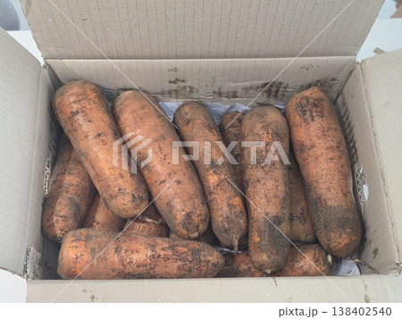 fresh carrots with dirt on them 138402540