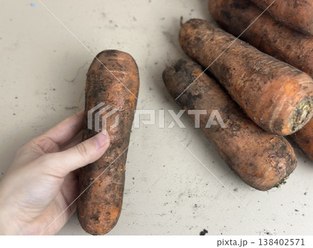 fresh carrots with dirt on them 138402571