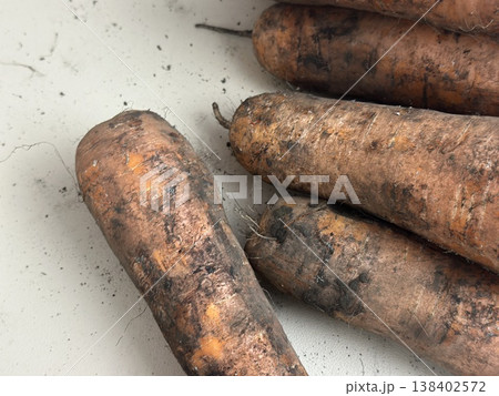 fresh carrots with dirt on them fresh carrots with dirt on them 138402572