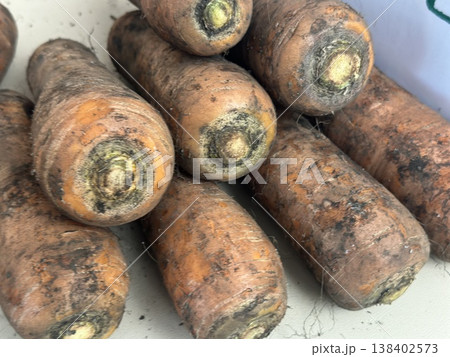 fresh carrots with dirt on them 138402573