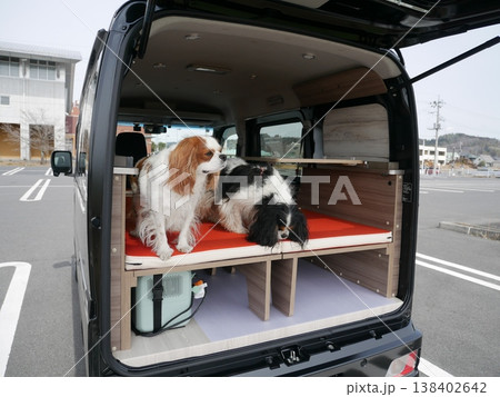 軽キャンピングカーの車内を覗き込むキャバリア犬2匹(車中泊・ペット) 軽キャンピングカーの車内を覗き込むキャバリア犬2匹(車中泊・ペット) 138402642