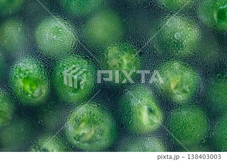 グリーンピース グリンピース エンドウ豆 138403003