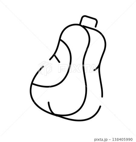 Butternut squash line art illustration for cooking concepts 138405990