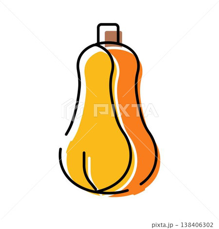 Butternut squash vegetable vector line art illustration Butternut squash vegetable vector line art illustration 138406302