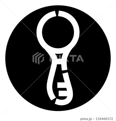 Skeleton key icon representing access and security 138406572