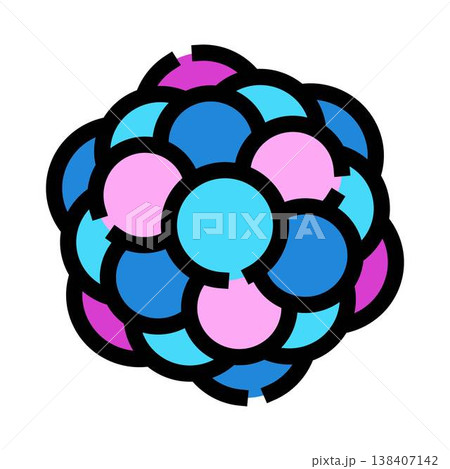 Morula embryo showing cell division and development concept 138407142