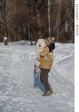 Smiling woman holding fluffy samoyed dog in snowy winter park. Smiling woman holding fluffy samoyed dog in snowy winter park. 138407254