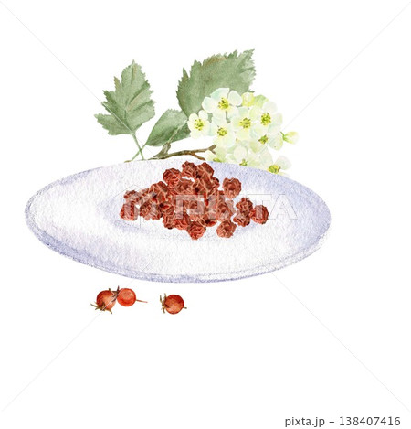 A composition featuring a pile of dried red hawthorn berries on a saucer and a branch with flowers and leaves. Hand-drawn watercolor illustration on an isolated background. Simple botanical clip art. 138407416