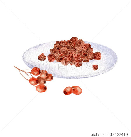A composition featuring a pile of dried red hawthorn or rowan berries on a white plate and a branch of berries nearby. Hand-drawn watercolor painting on an isolated background. 138407419
