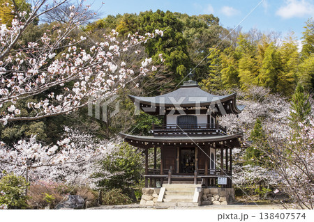 桜咲く勧修寺 京都の桜の名所 桜と日本庭園の風景 名勝庭園 京都観光スポット 桜咲く勧修寺 京都の桜の名所 桜と日本庭園の風景 名勝庭園 京都観光スポット 138407574