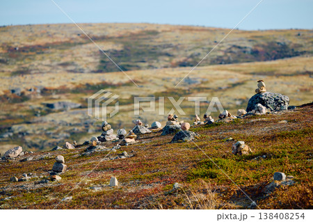 stone mounds, pyramids of stones, colourful arctic carpet of moss, yagel, sunset, Tundra at autumn, tundra near the town of Teriberka in Russia, Murmansk region 138408254
