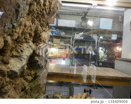 水族館の裏 138409008