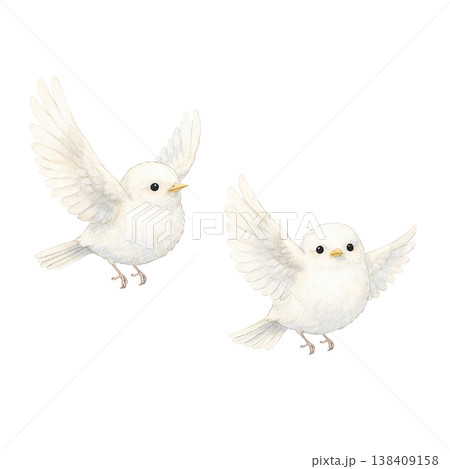 白い小鳥 2羽 水彩イラスト 仲良しでかわいい野鳥素材 羽ばたくナチュラルな手描き風デザイン 138409158