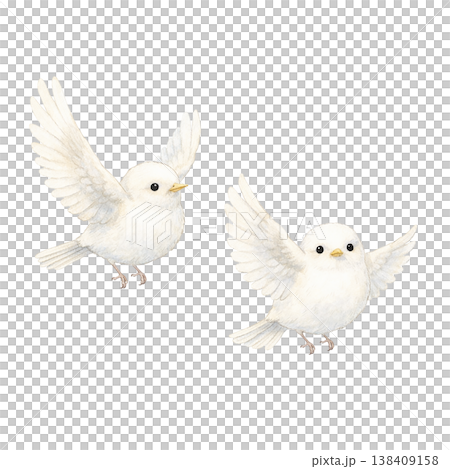 兩隻小白鳥，水彩插畫。可愛友善的野生鳥類插畫，採用自然的手繪風格，描繪了鳥兒飛翔的姿態。 138409158