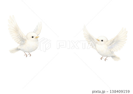 白い小鳥 2羽 水彩イラスト 仲良しでかわいい野鳥素材 羽ばたくナチュラルな手描き風デザイン 138409159