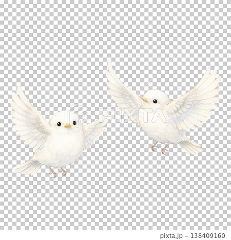 兩隻小白鳥，水彩插畫。可愛友善的野生鳥類插畫，採用自然的手繪風格，描繪了鳥兒飛翔的姿態。 138409160