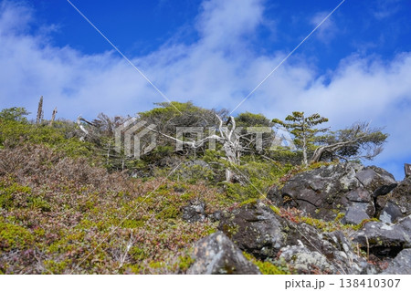 青空と高山の絶景、亜高山帯の荒々しい岩場と枯れ木の風景 青空と高山の絶景、亜高山帯の荒々しい岩場と枯れ木の風景 138410307