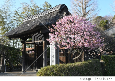 お寺の山門 お寺の山門 138410477